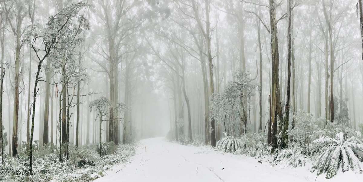 where're the places near melbourne to see snow3