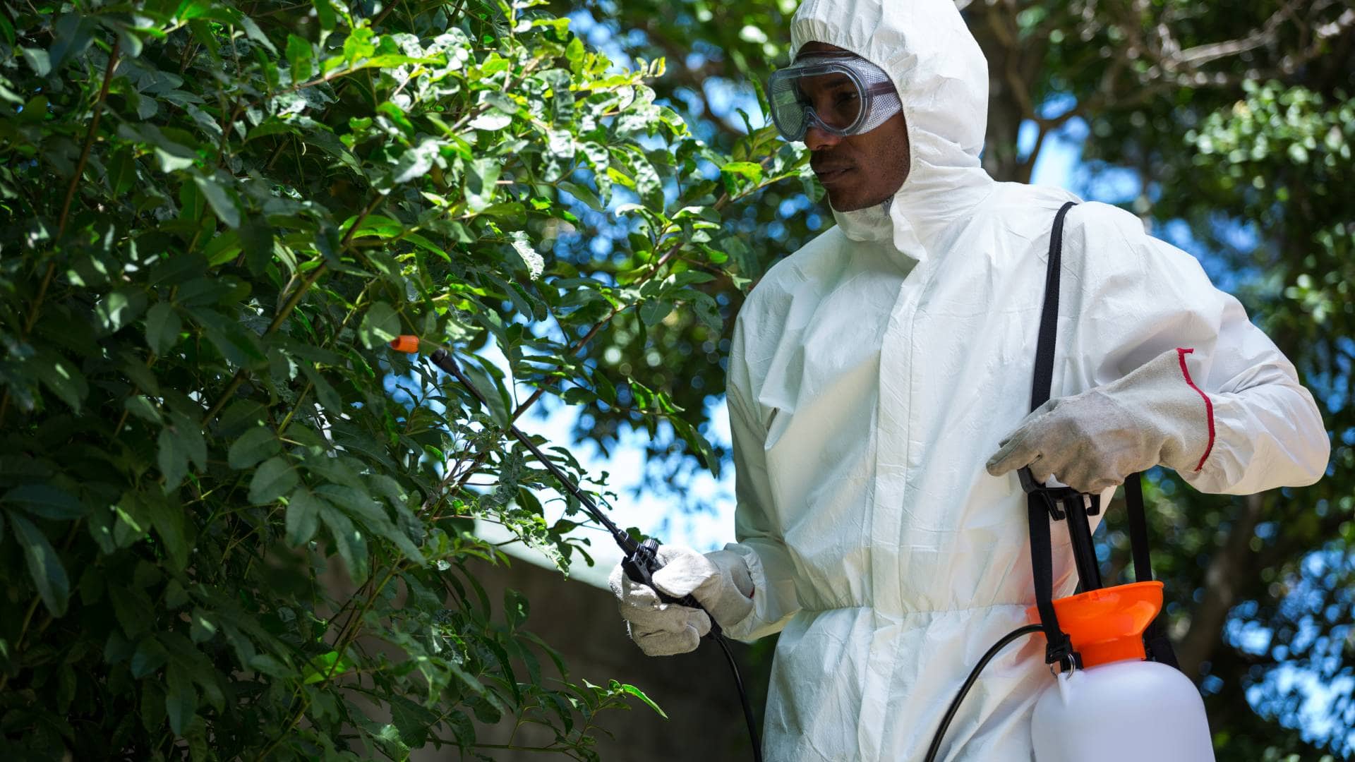 pest control strategies for public health and safety